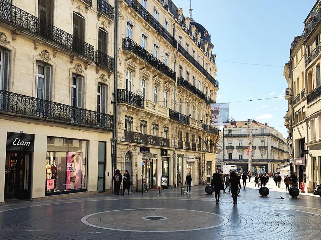 Le Havre De Paix Montpellierain - Terrasse Et Parking Prive Apartment Екстериор снимка