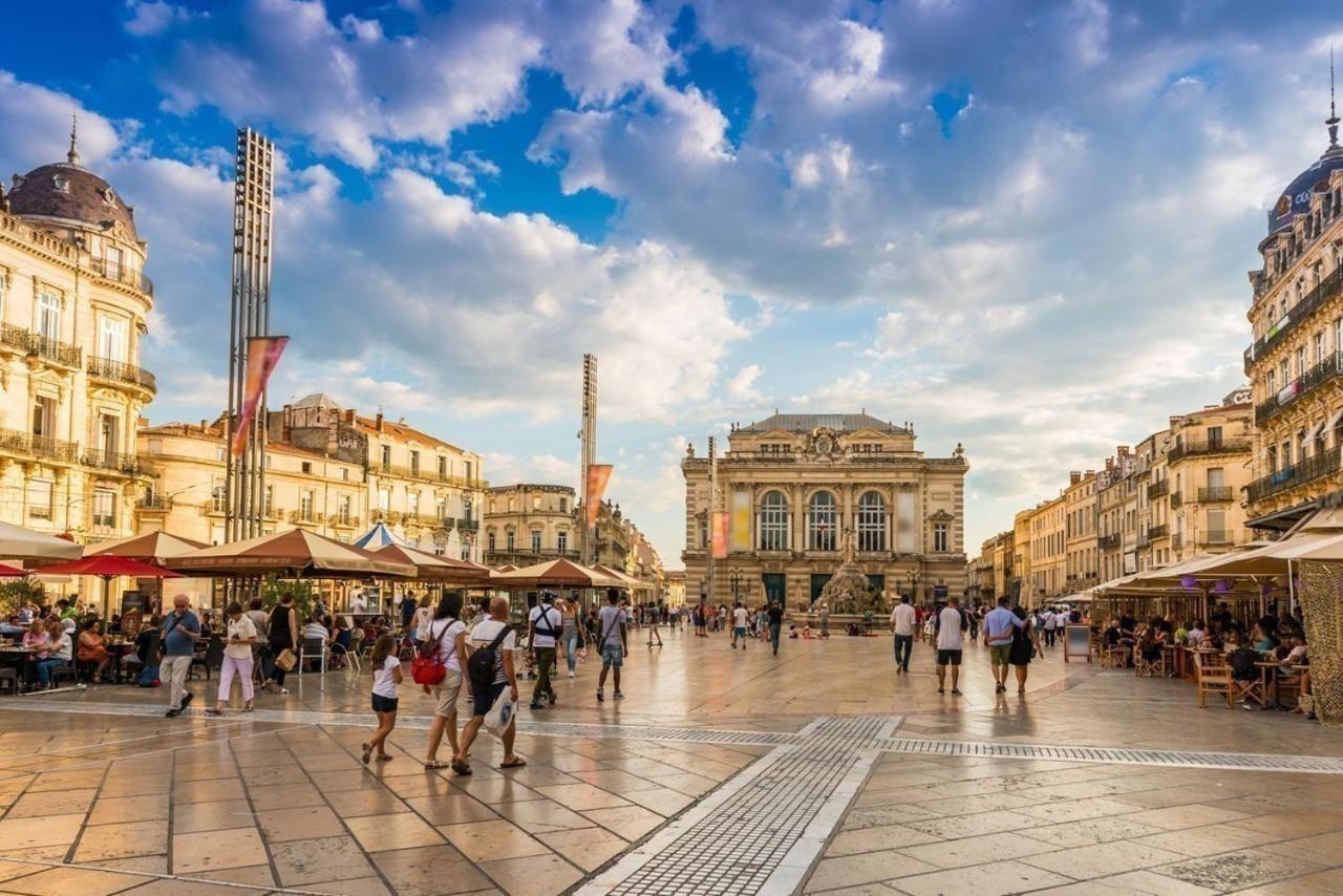 Le Havre De Paix Montpellierain - Terrasse Et Parking Prive Apartment Екстериор снимка